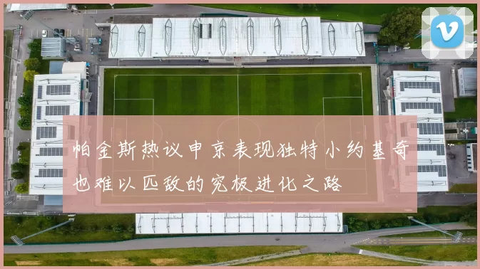 帕金斯热议申京表现独特小约基奇也难以匹敌的究极进化之路