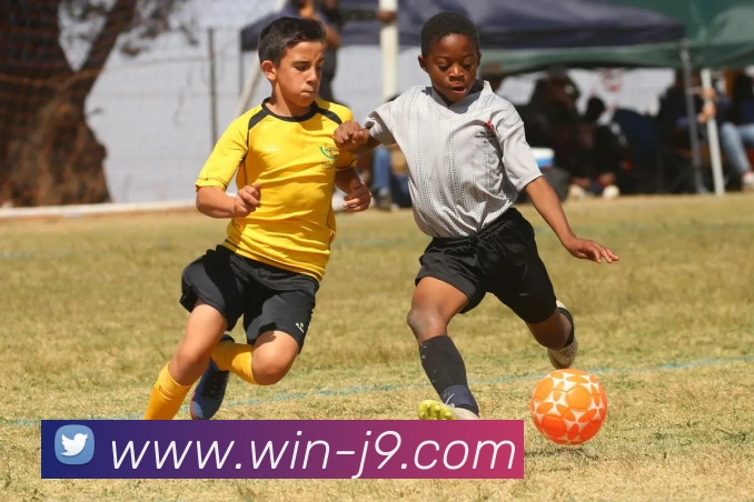 九游体育平台生态图