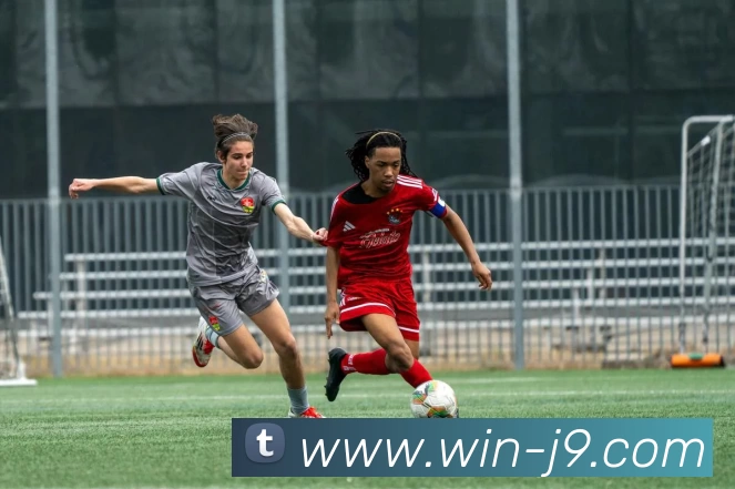 九游体育APP 封面图